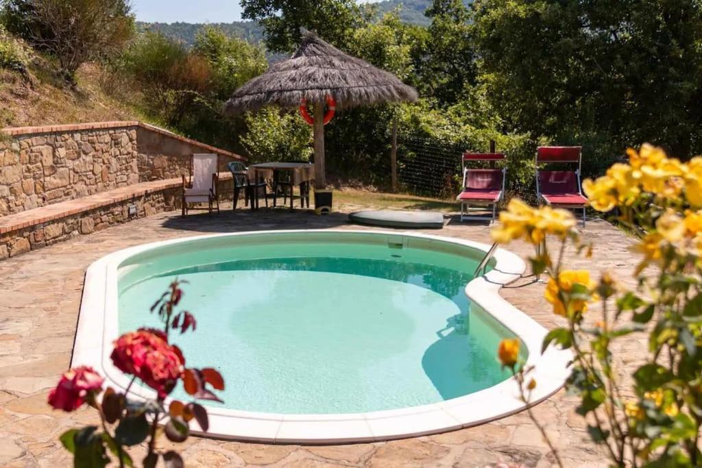Agriturismo Con Piscina In Toscana, Tribbiano 阿雷佐 外观 照片