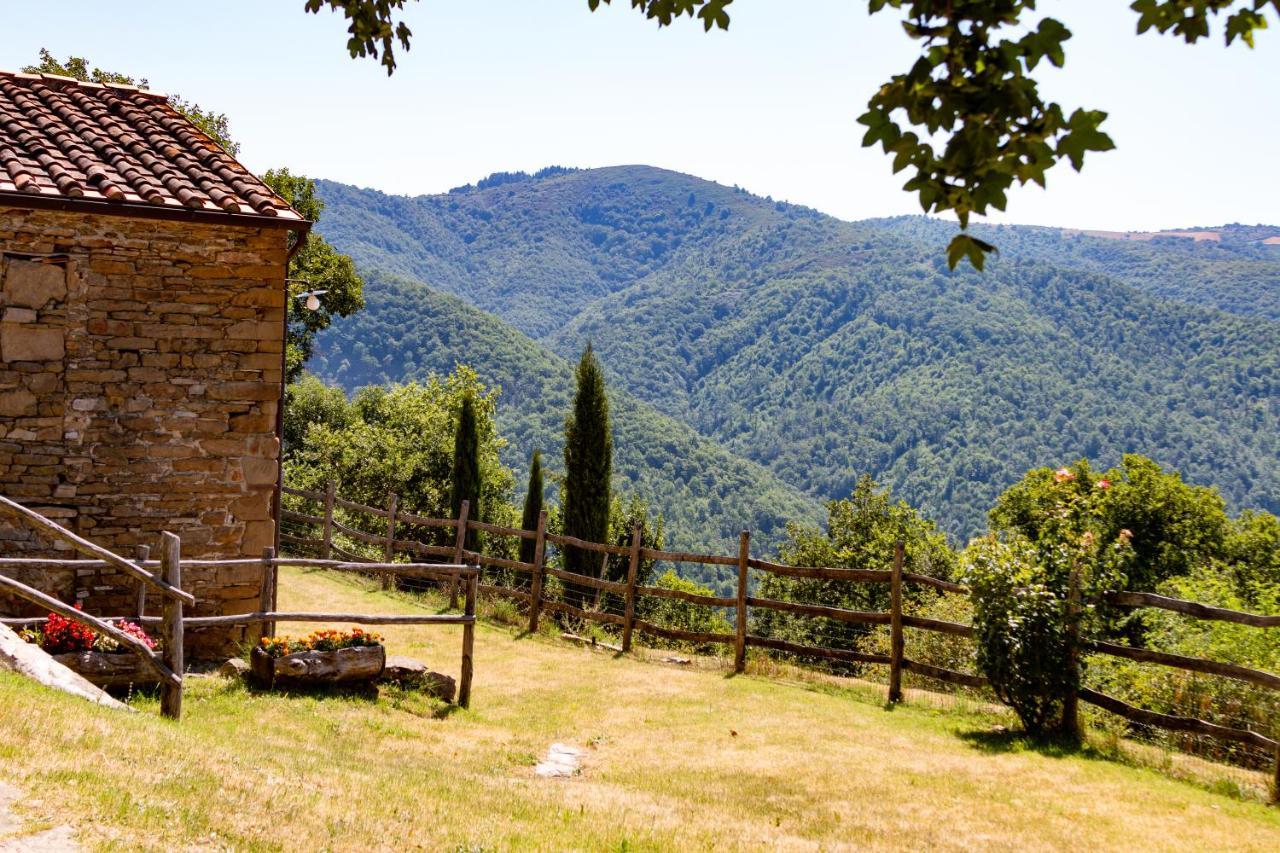 Agriturismo Con Piscina In Toscana, Tribbiano 阿雷佐 外观 照片