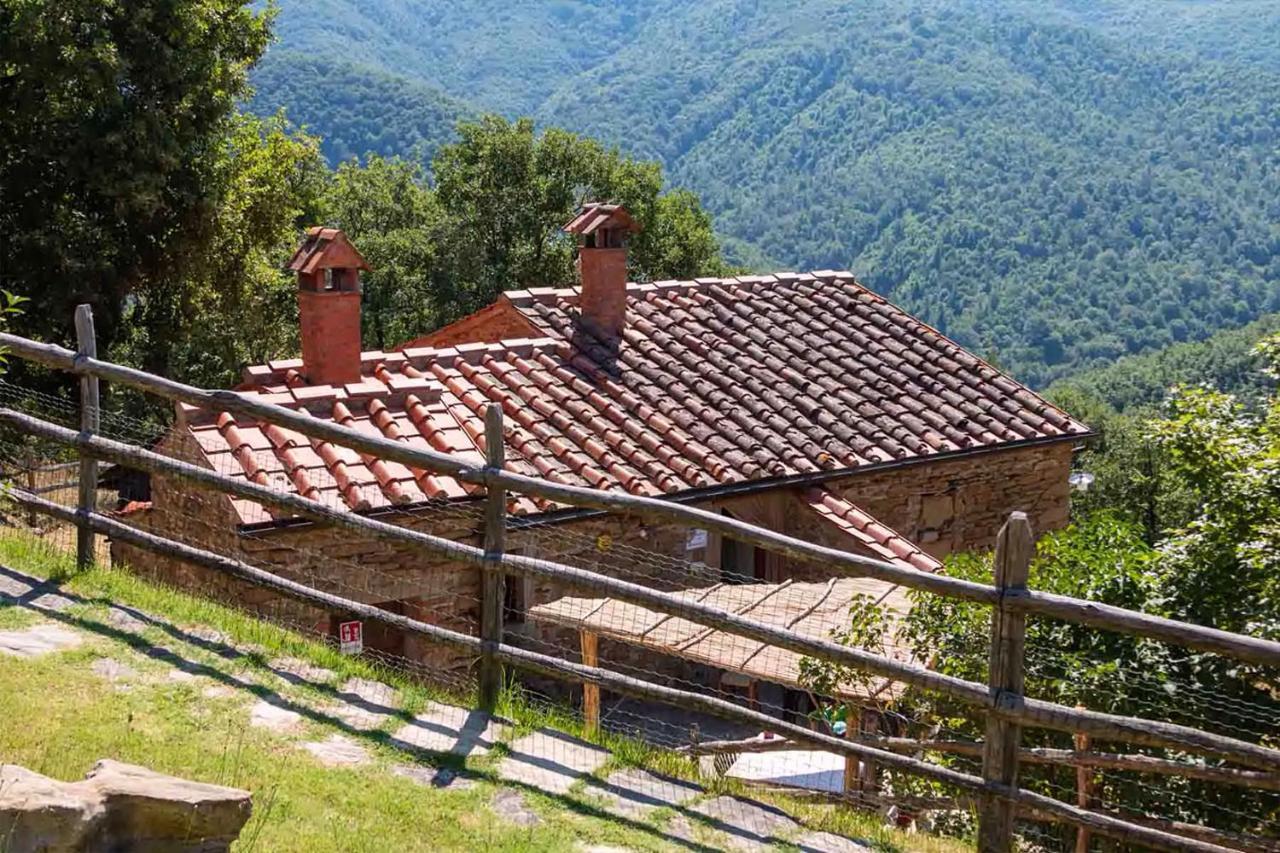 Agriturismo Con Piscina In Toscana, Tribbiano 阿雷佐 外观 照片
