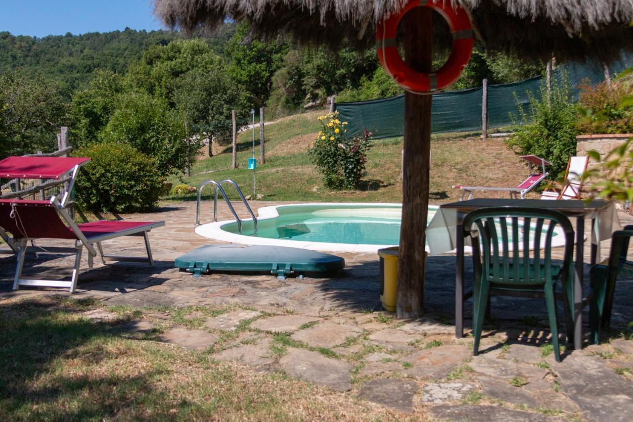 Agriturismo Con Piscina In Toscana, Tribbiano 阿雷佐 外观 照片